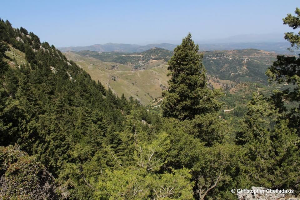 Zourva Paradise 2