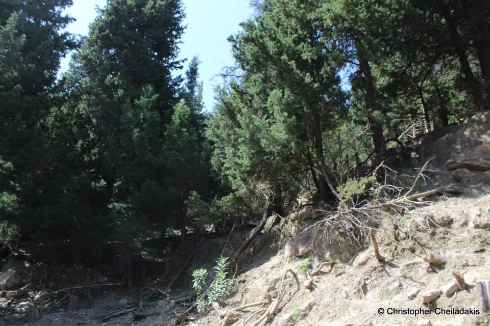Zourva Paradise 3