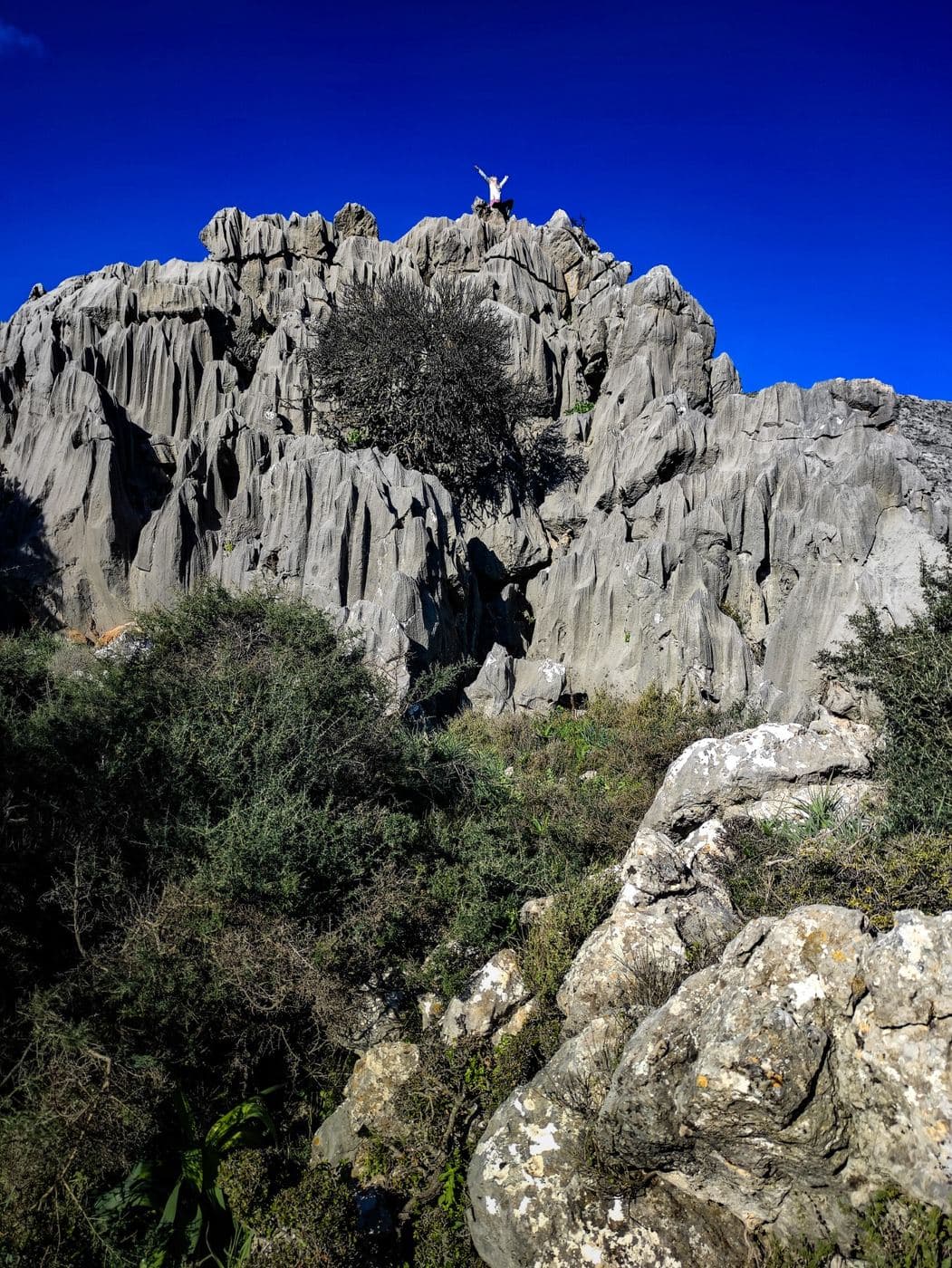 Galia Rock Carvings 2