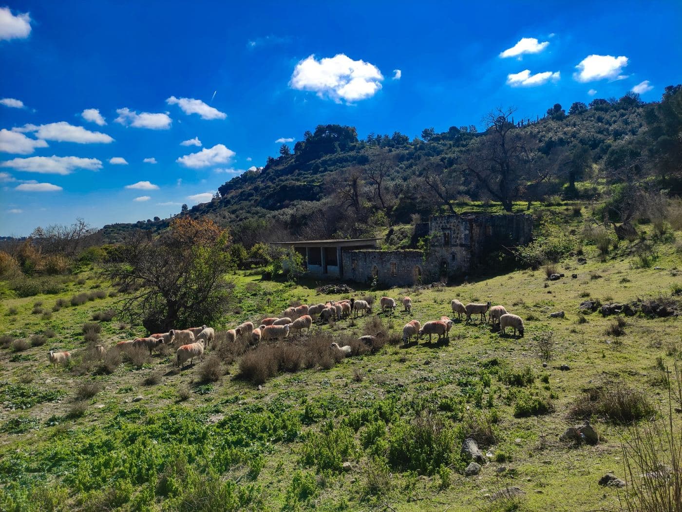 Gerontomilos Watermill at Phaestus 2