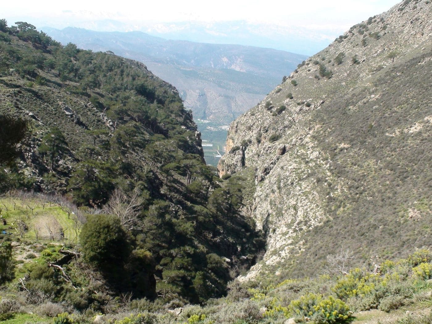Ha Gorge