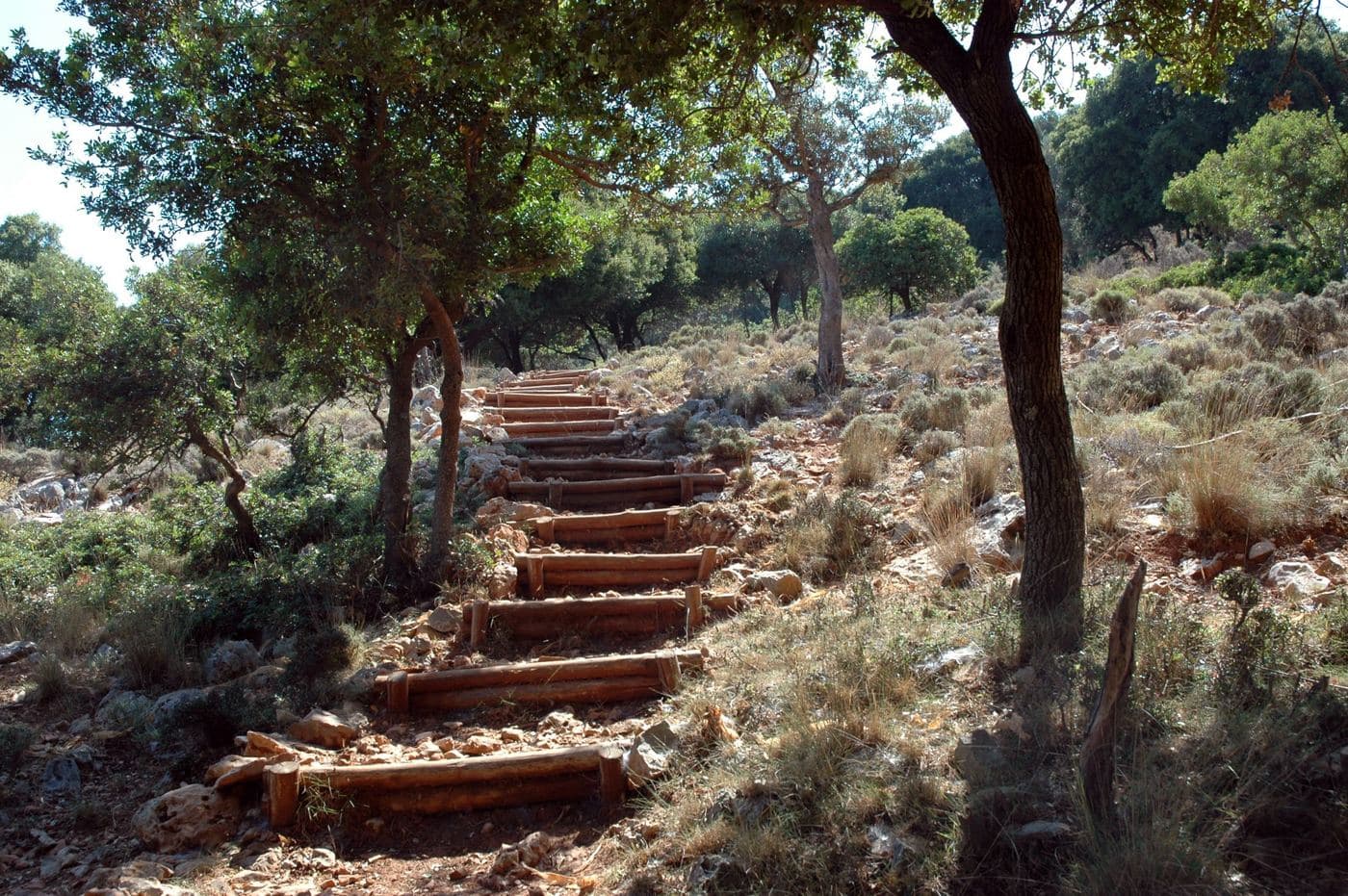 Hamoprina Wood at Malia 3