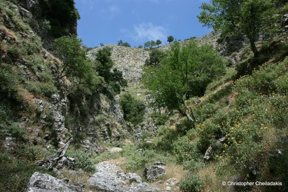 Kapni Gorge 3