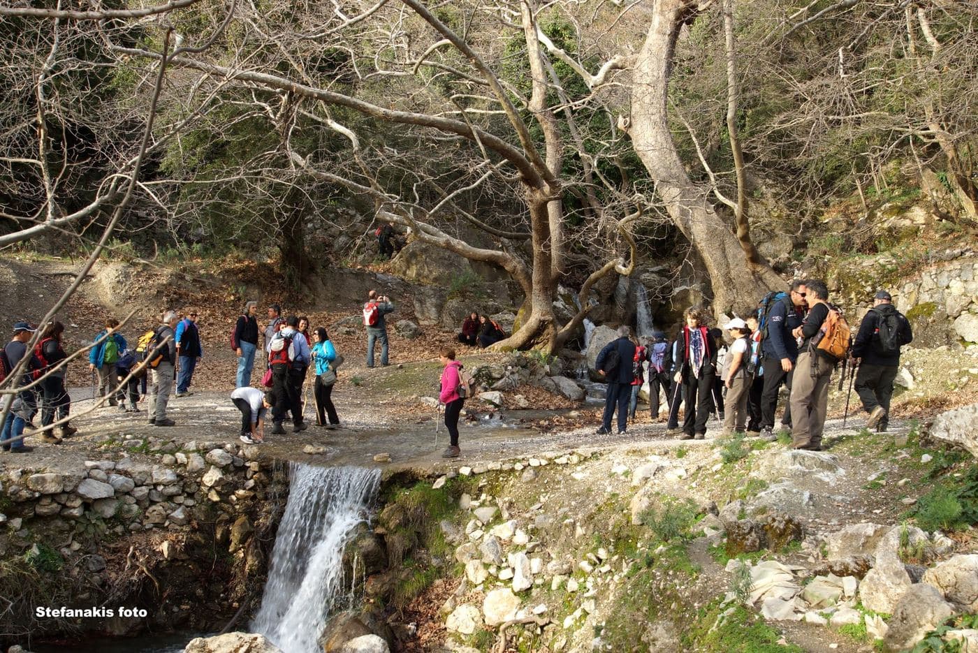 Kato Symi Wood