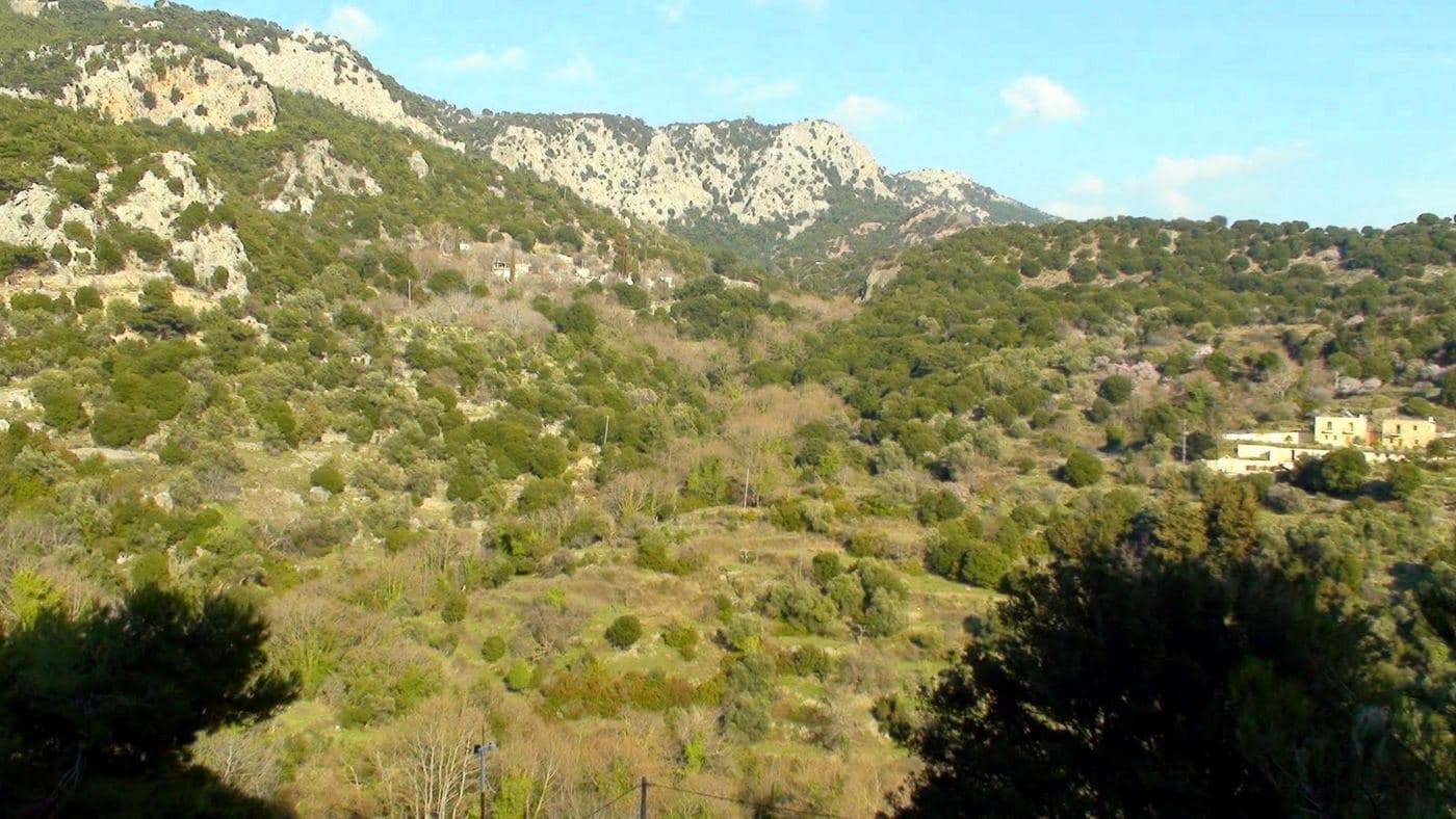 Kato Symi Wood 3