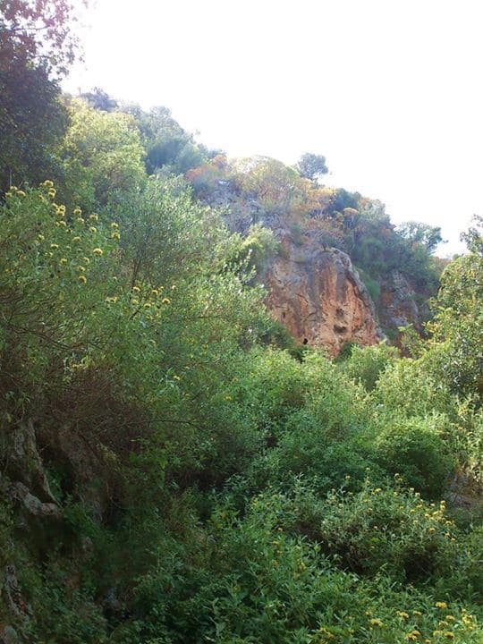Katsouna Gorge 2