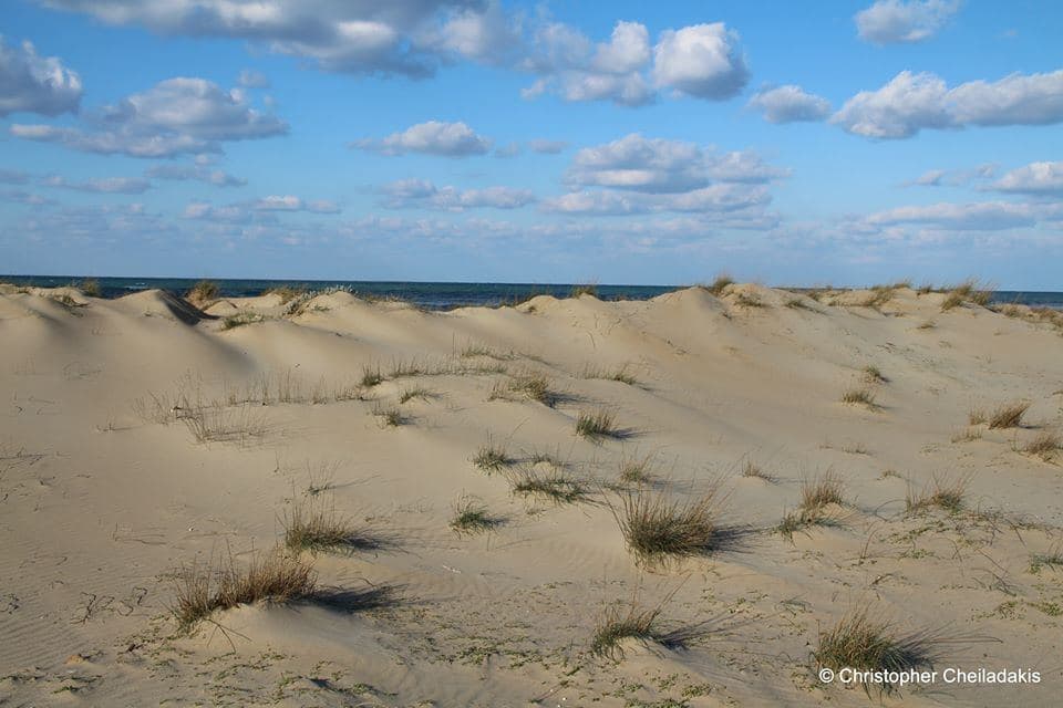 Kavros beach