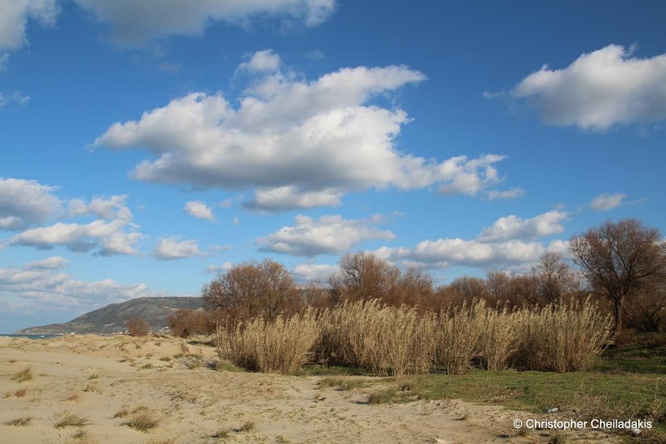 Kavros beach 2