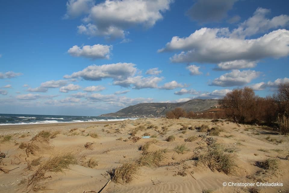 Kavros beach 3