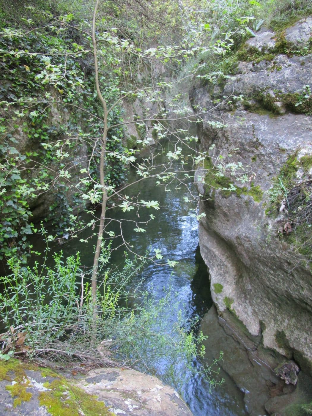 Koliakoudes Gorge 2