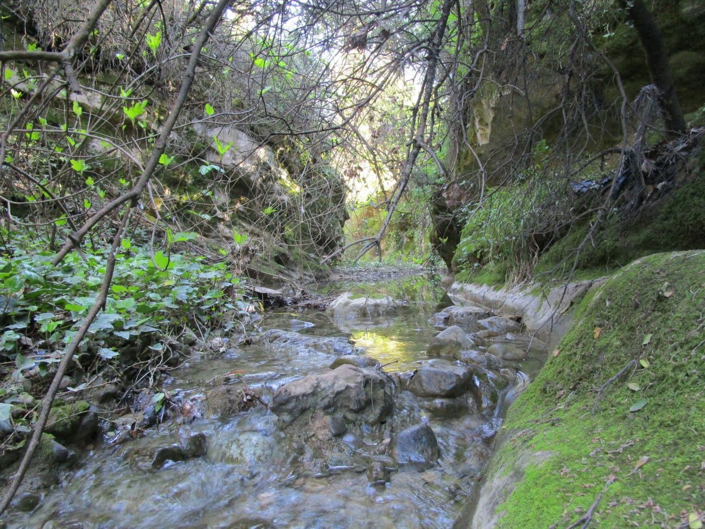 Koliakoudes Gorge 3