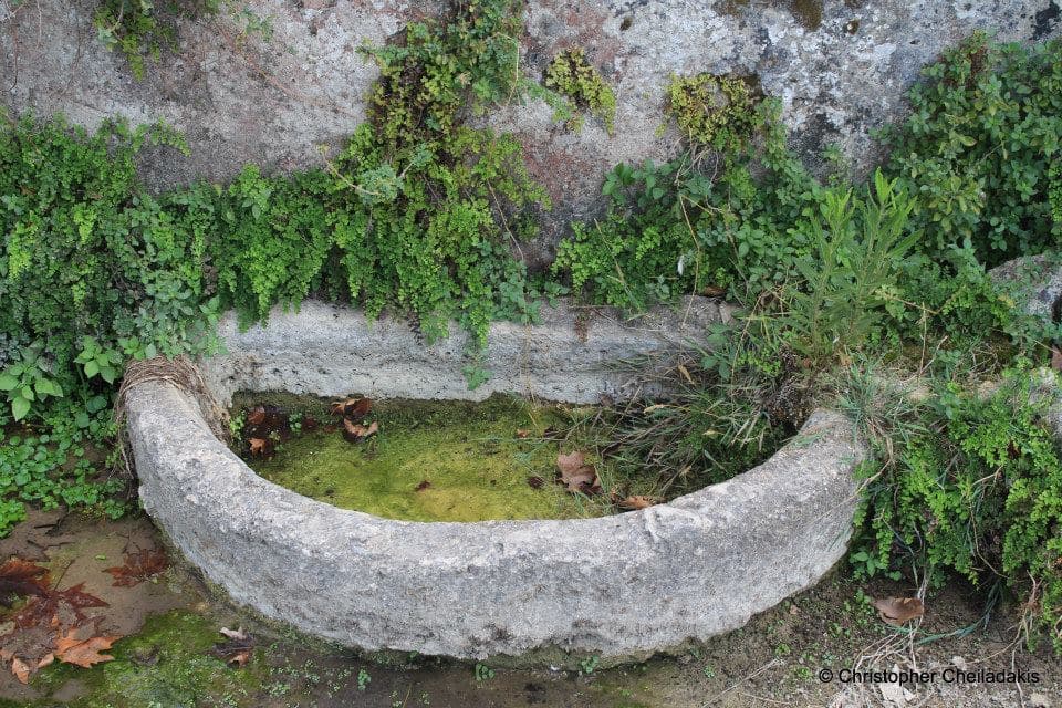 Korita Spring at Pemonia 2
