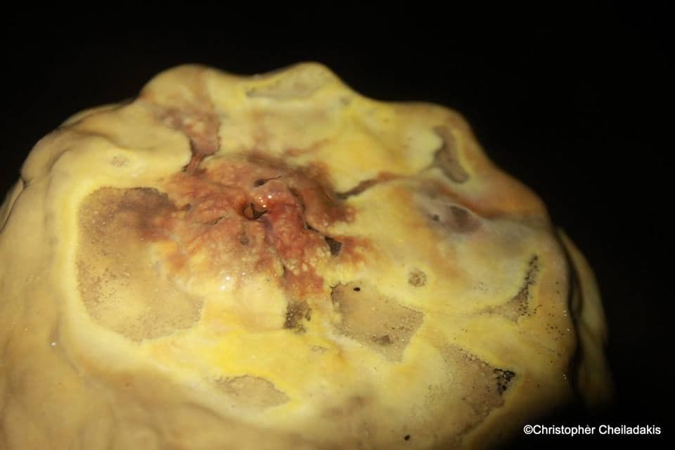 Kournas Cave 2