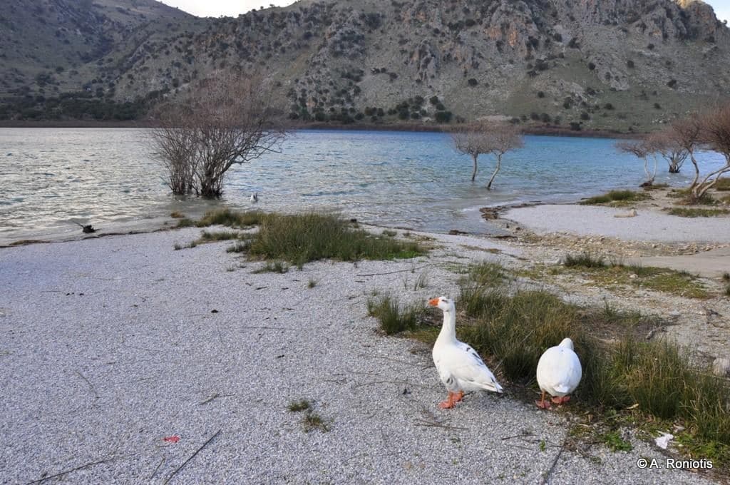Lake Kournas