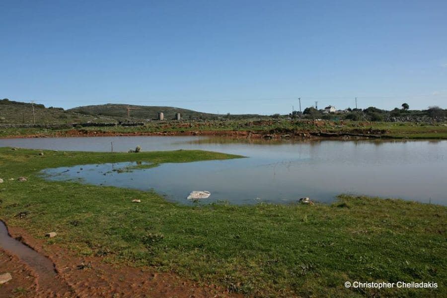 Kourounes Pond 2