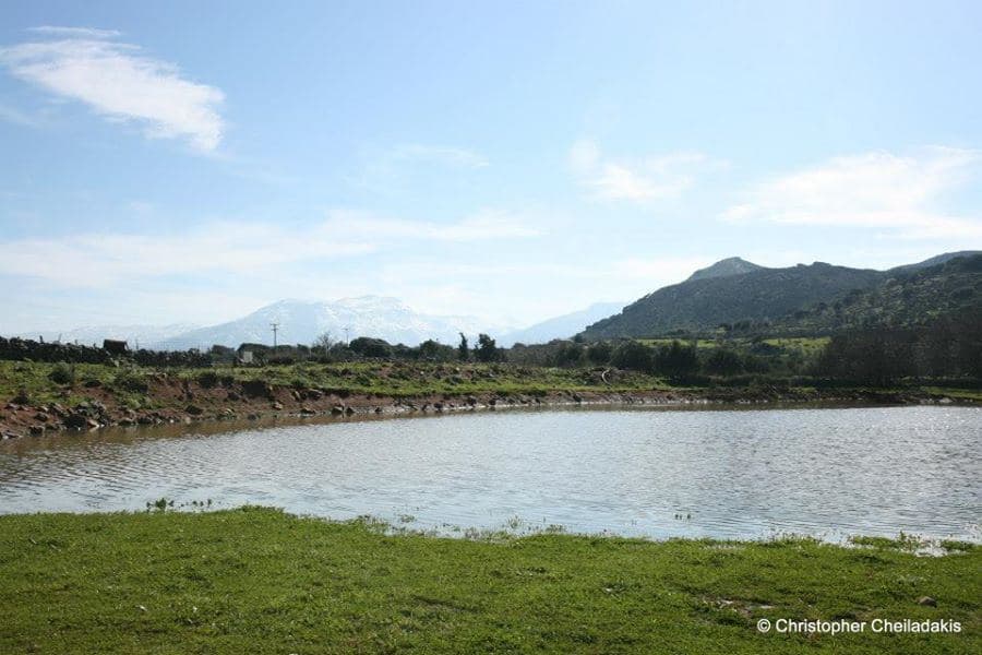 Kourounes Pond 3