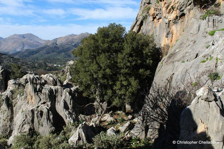 Kourtsa Rock Formations at Chonos 2