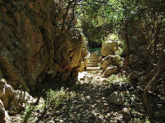 Kryonerida Cave 2
