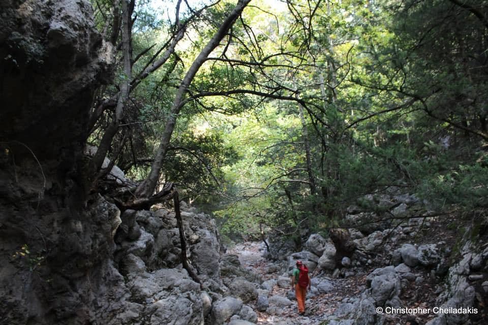 Laggos Gorge, Zourva