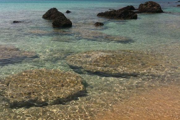 Lazaretta islet