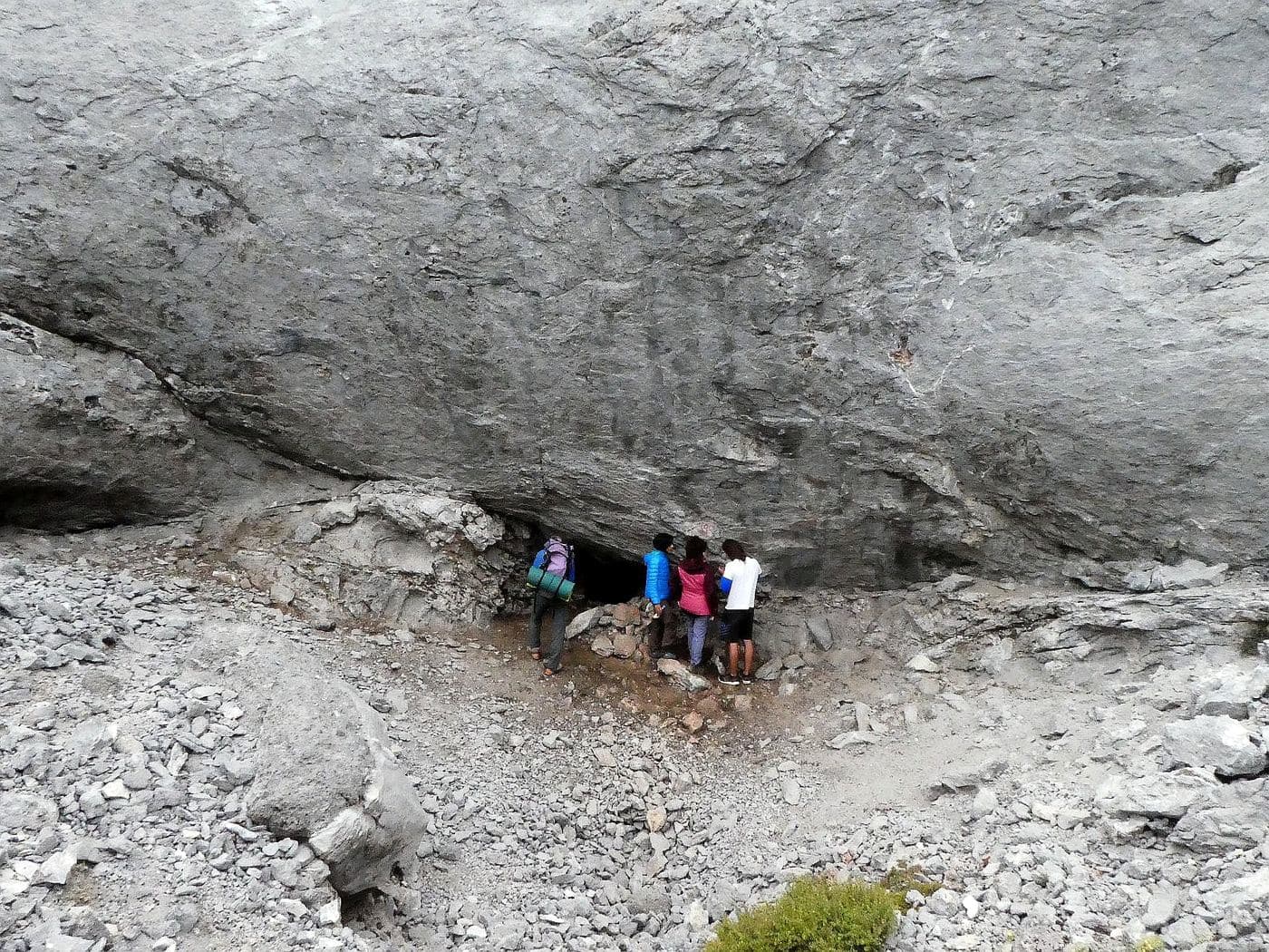 Lion pothole 3