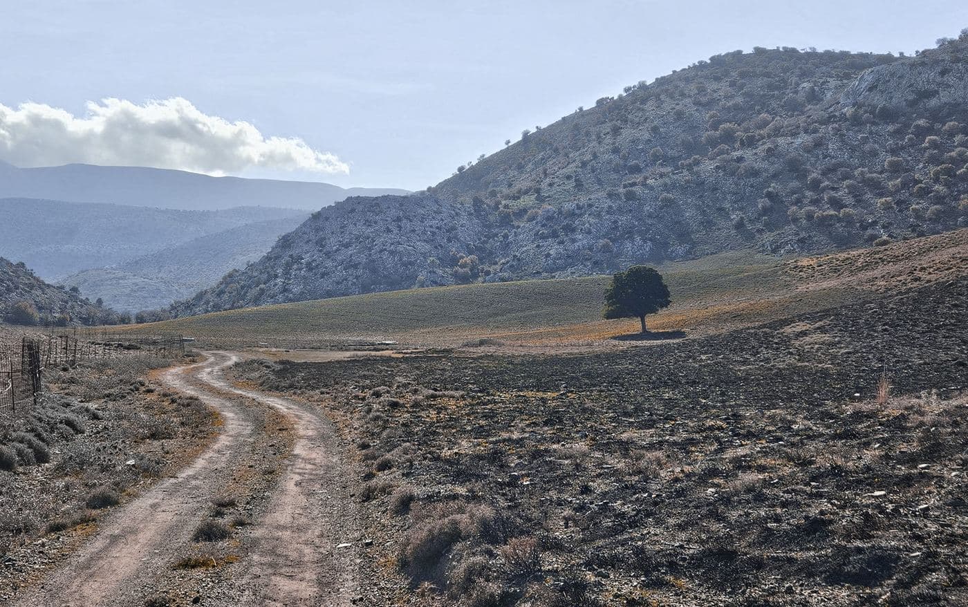Livadi Plateau at Kroussonas