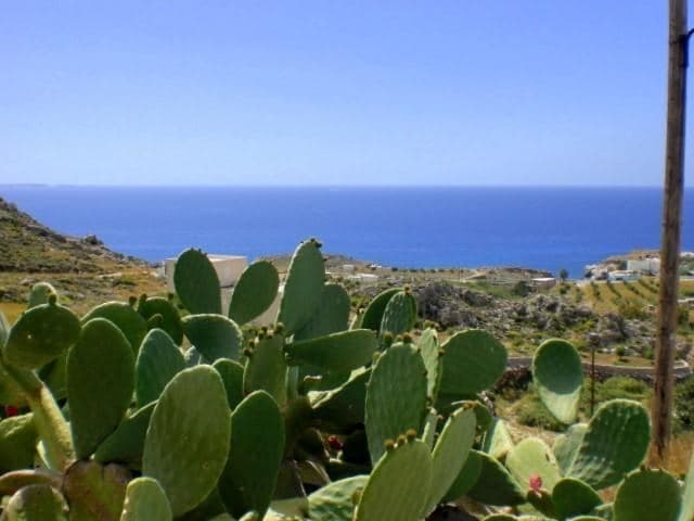 Lygidi beach