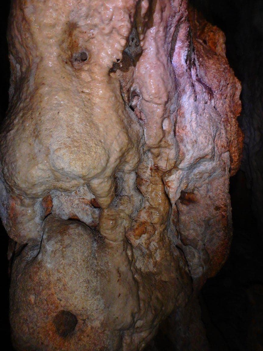 Maridon Cave 2