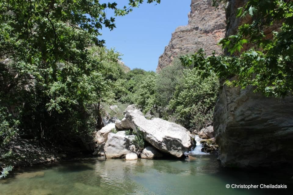 Mesa Gorge at River Platys 2