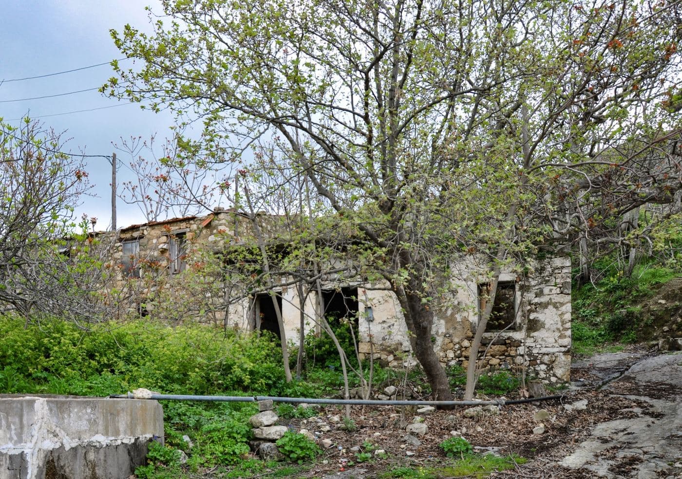 Mikri Episkopi at Partira