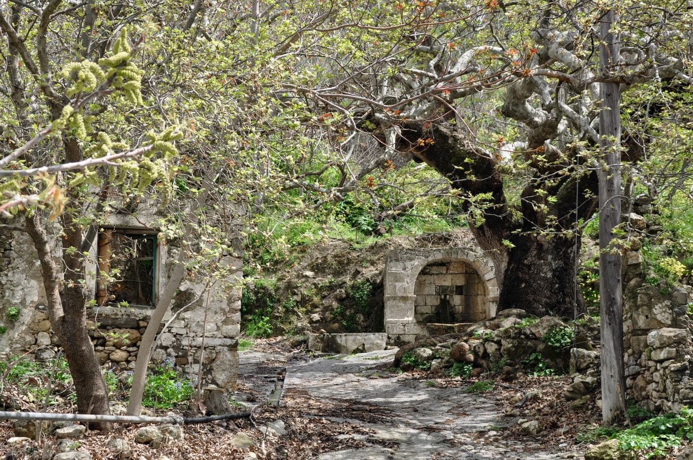 Mikri Episkopi at Partira 2