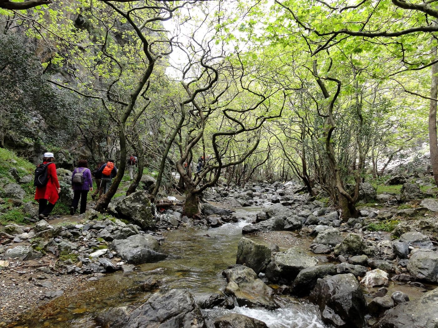 Moundros Gorge (Kollita) 2