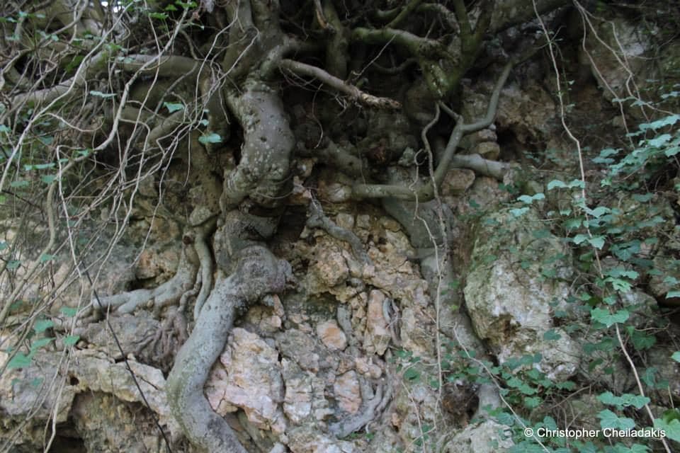 Neraidospilios Cave at Astritsi 3