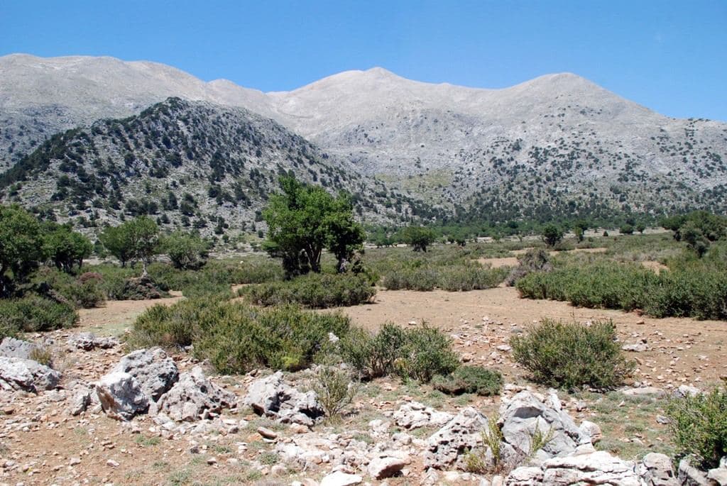Niatos Plateau 2