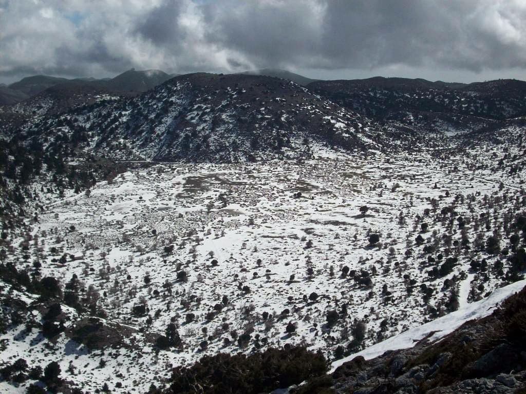 Niatos Plateau 3
