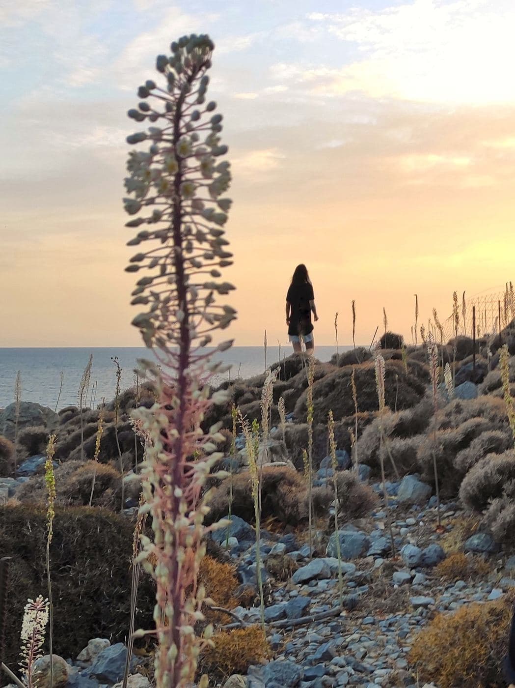 Ornios beaches (Pahia Ammos)