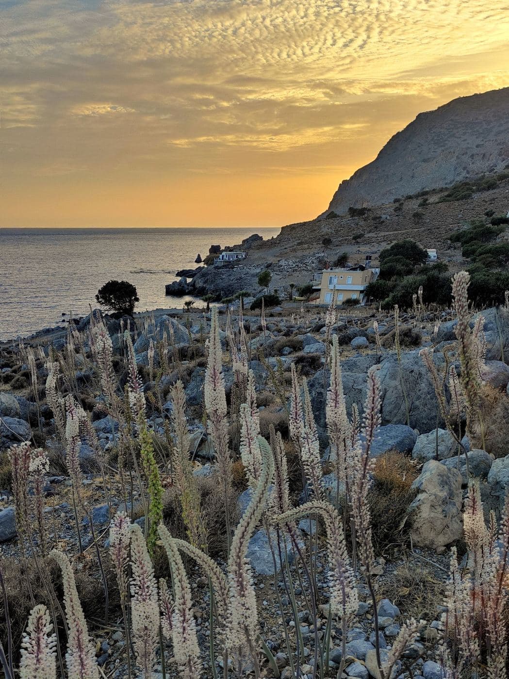 Ornios beaches (Pahia Ammos) 2