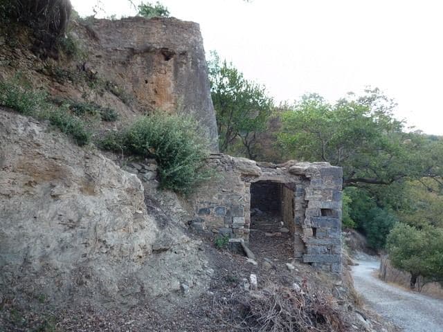 Pashaligo Grove