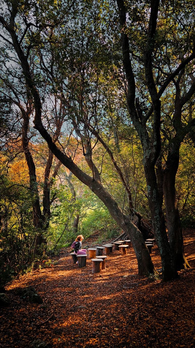 Pashaligo Grove 3