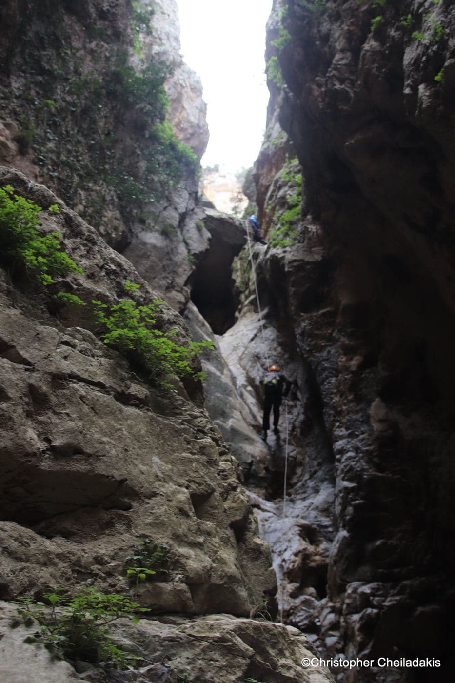 Pastrikos Gorge