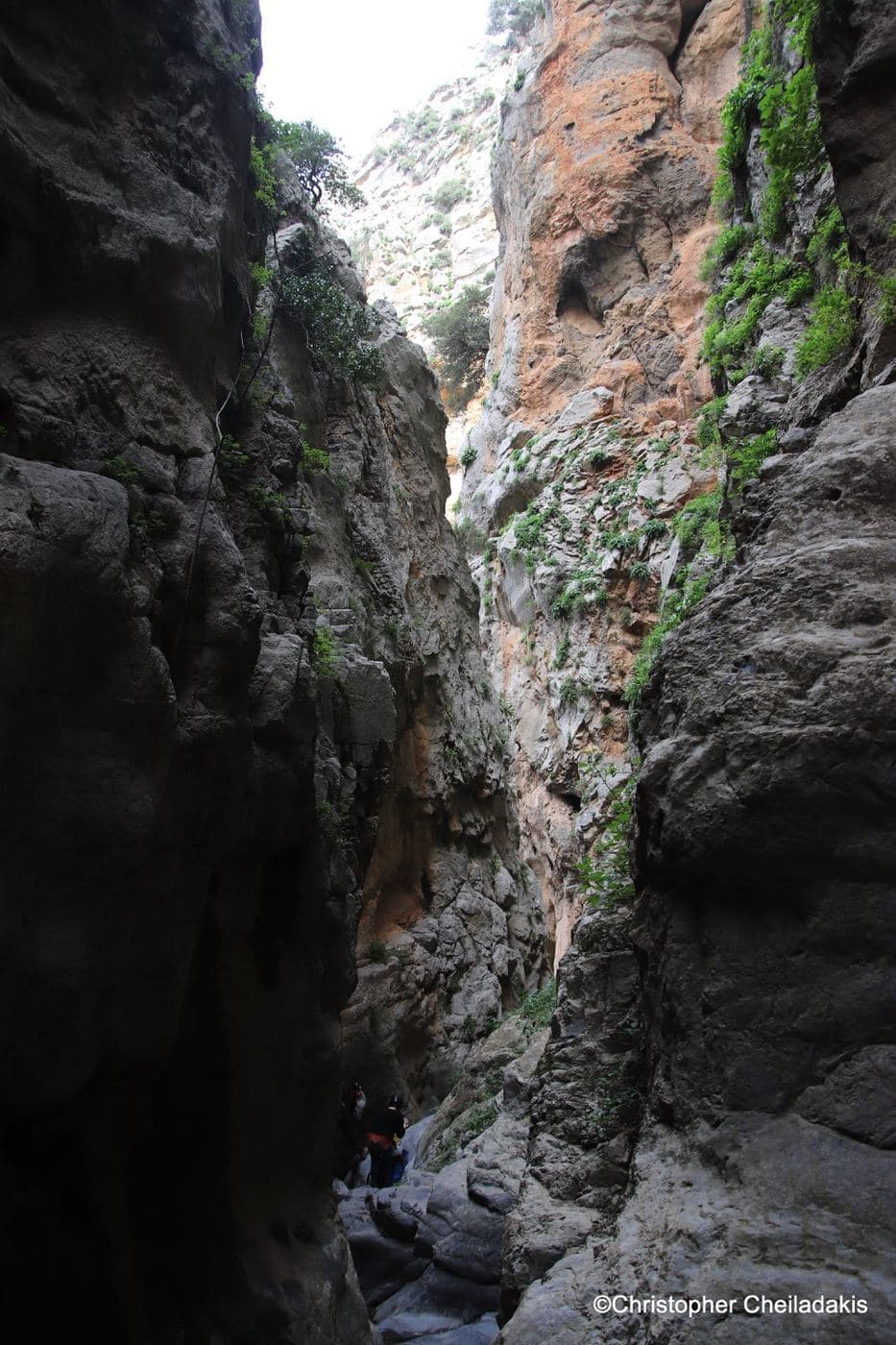 Pastrikos Gorge 3