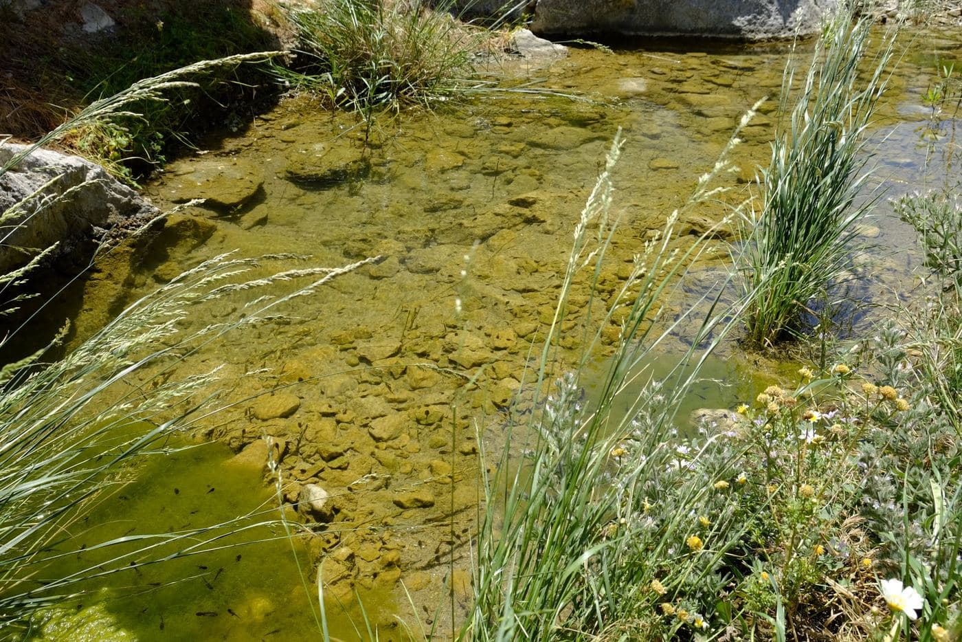 Pervolakia Gorge 2