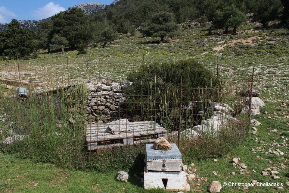 Plateau Krousia
