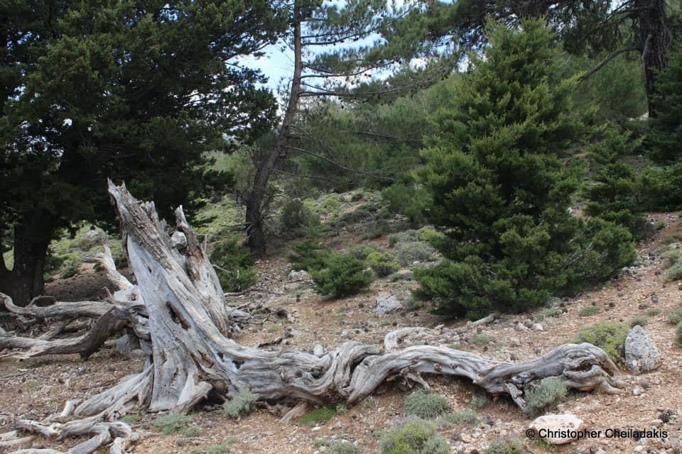 Plateau Krousia 2
