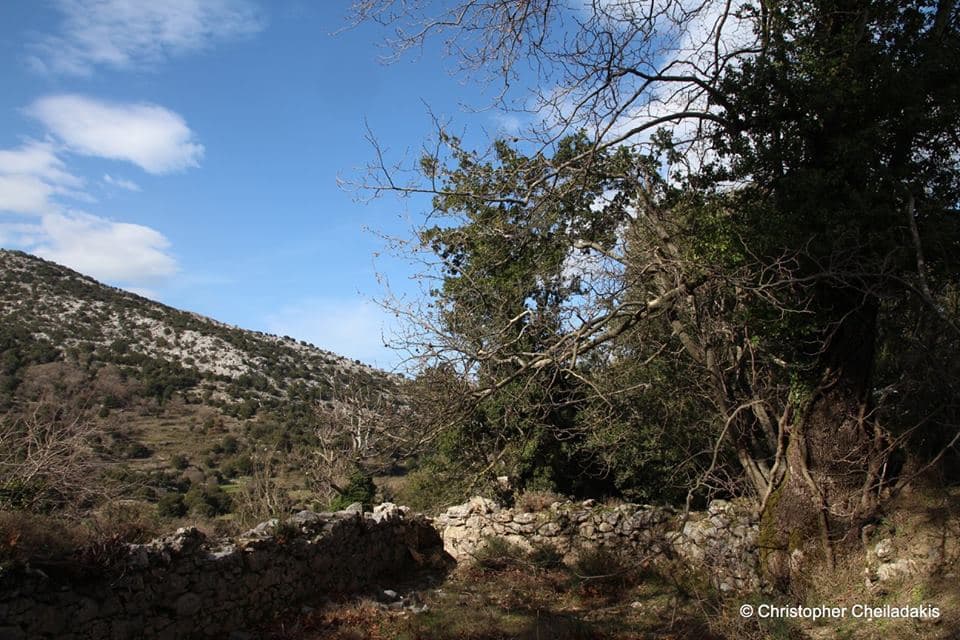 Plati watermill 2