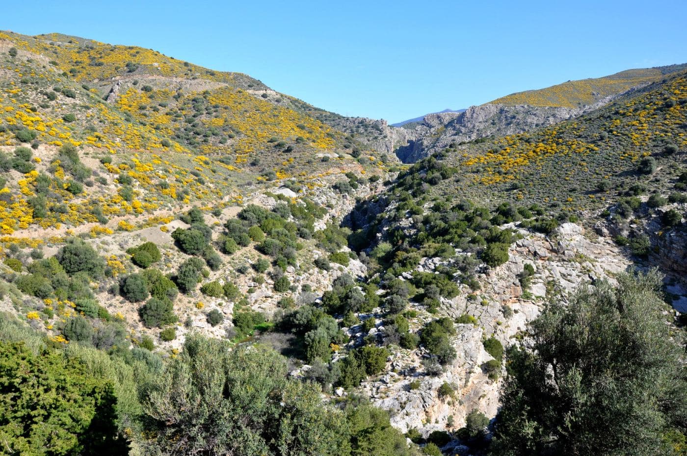Portela Gorge
