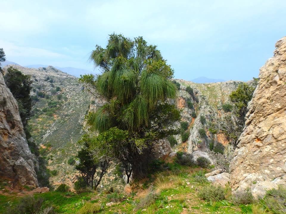 Post Minoan settlement of Fortezza at Andrianos 2