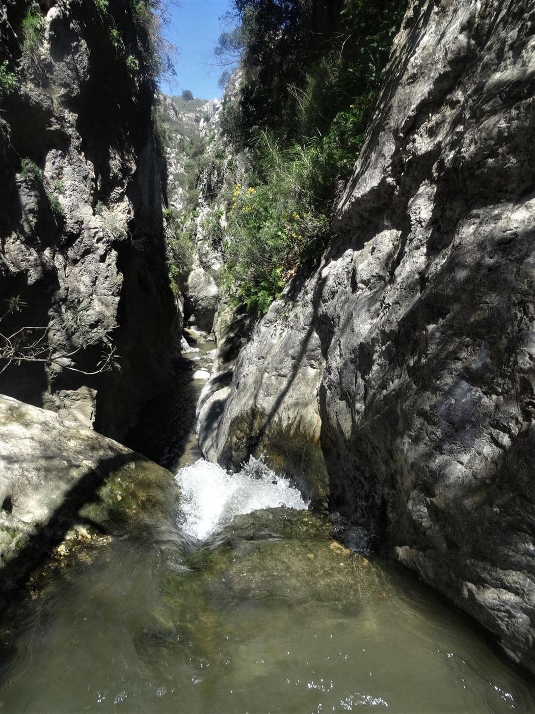 Prinias Gorge (Lagouta) 2