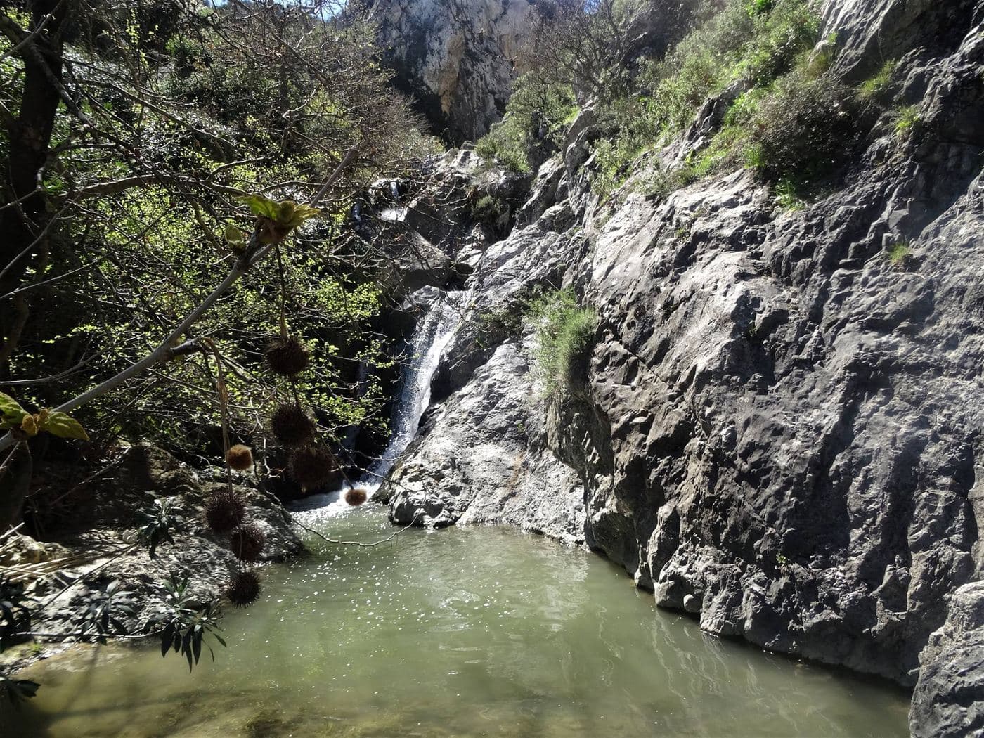 Prinias Gorge (Lagouta) 3