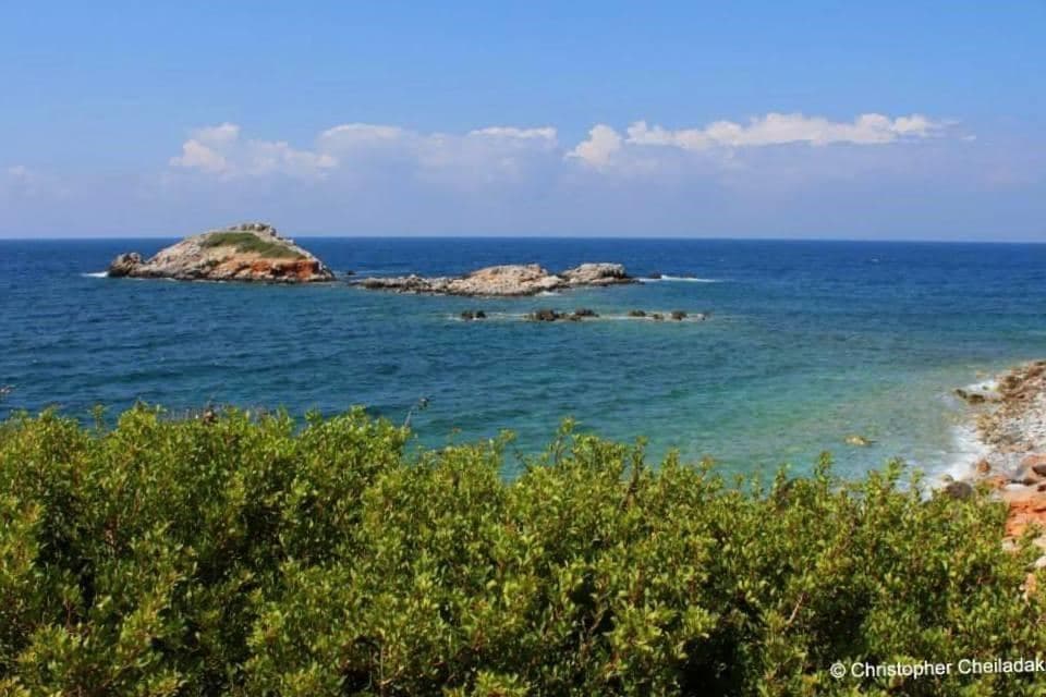 Propatoumenos beaches 2